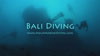 Bali scuba diving 2007 highlights