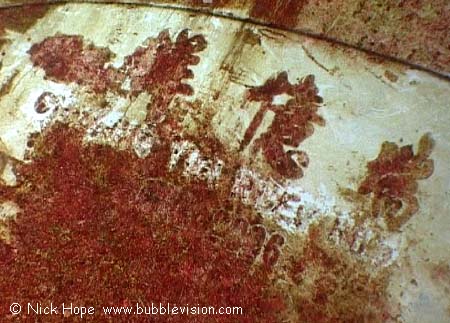 Chinese wreck Similan Islands