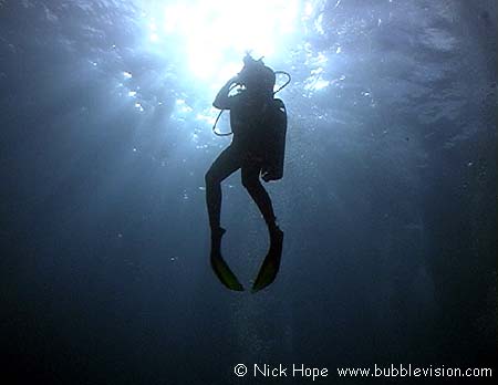 Diver in silhouette