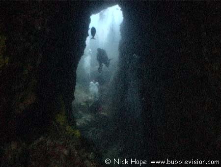 Scuba Divers in the Canyon at Shark Cave