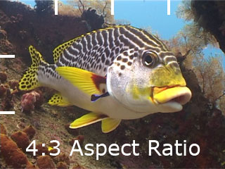 4:3 aspect ratio