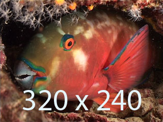 high resolution image